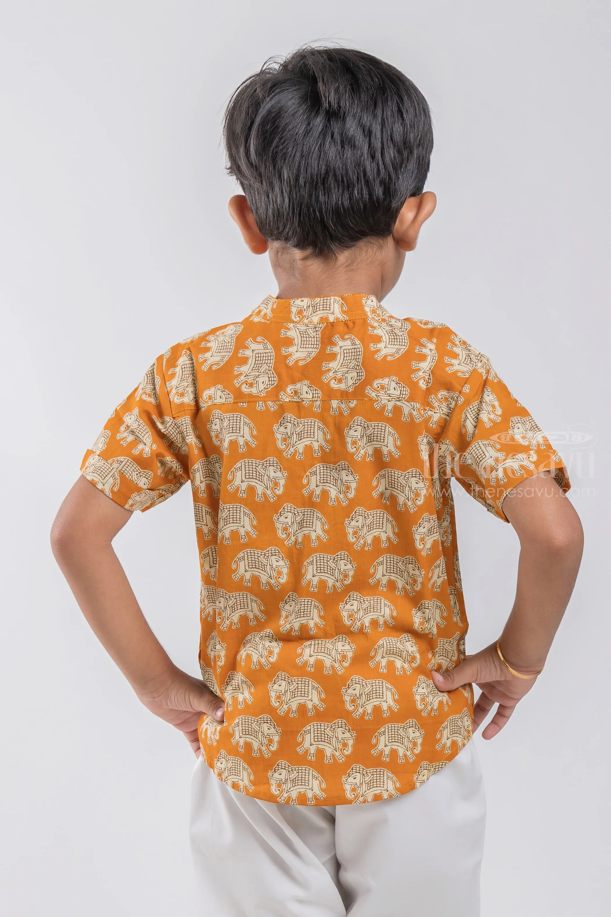 ALG. Boys Madhubani Elephant Printed Yellow Cotton Shirt by The Nesavu