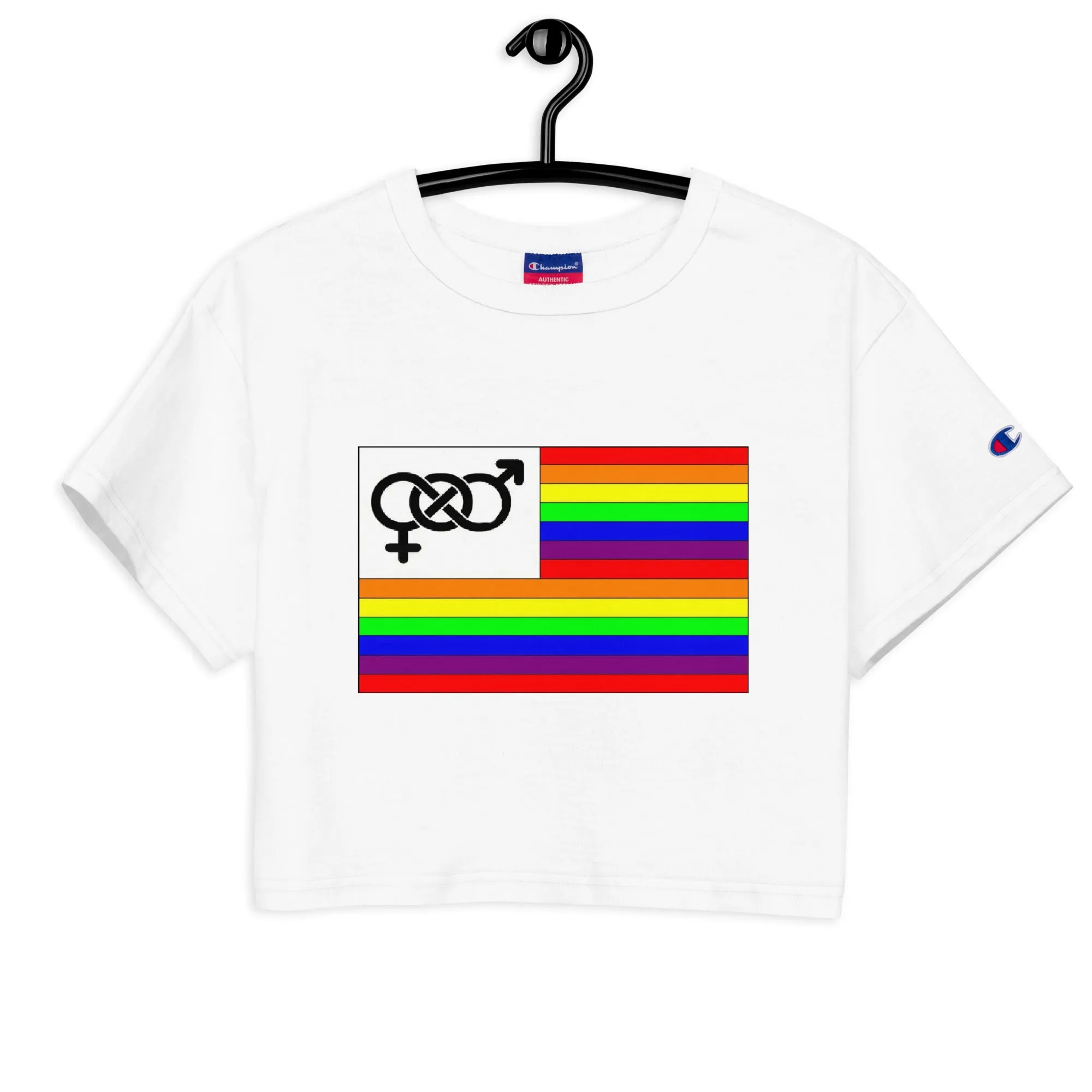 BRIGHT PRIDE FLAG Champion crop top